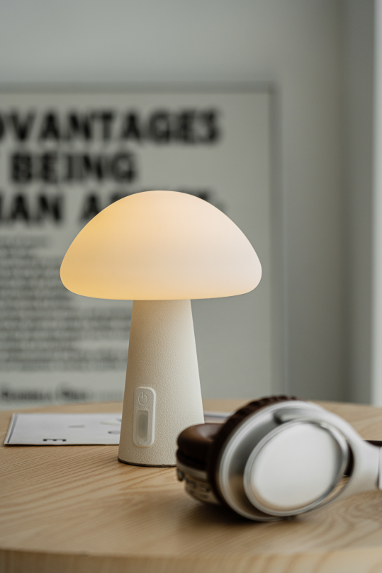 Design innovation: Lamp LED light replicate the natural charm